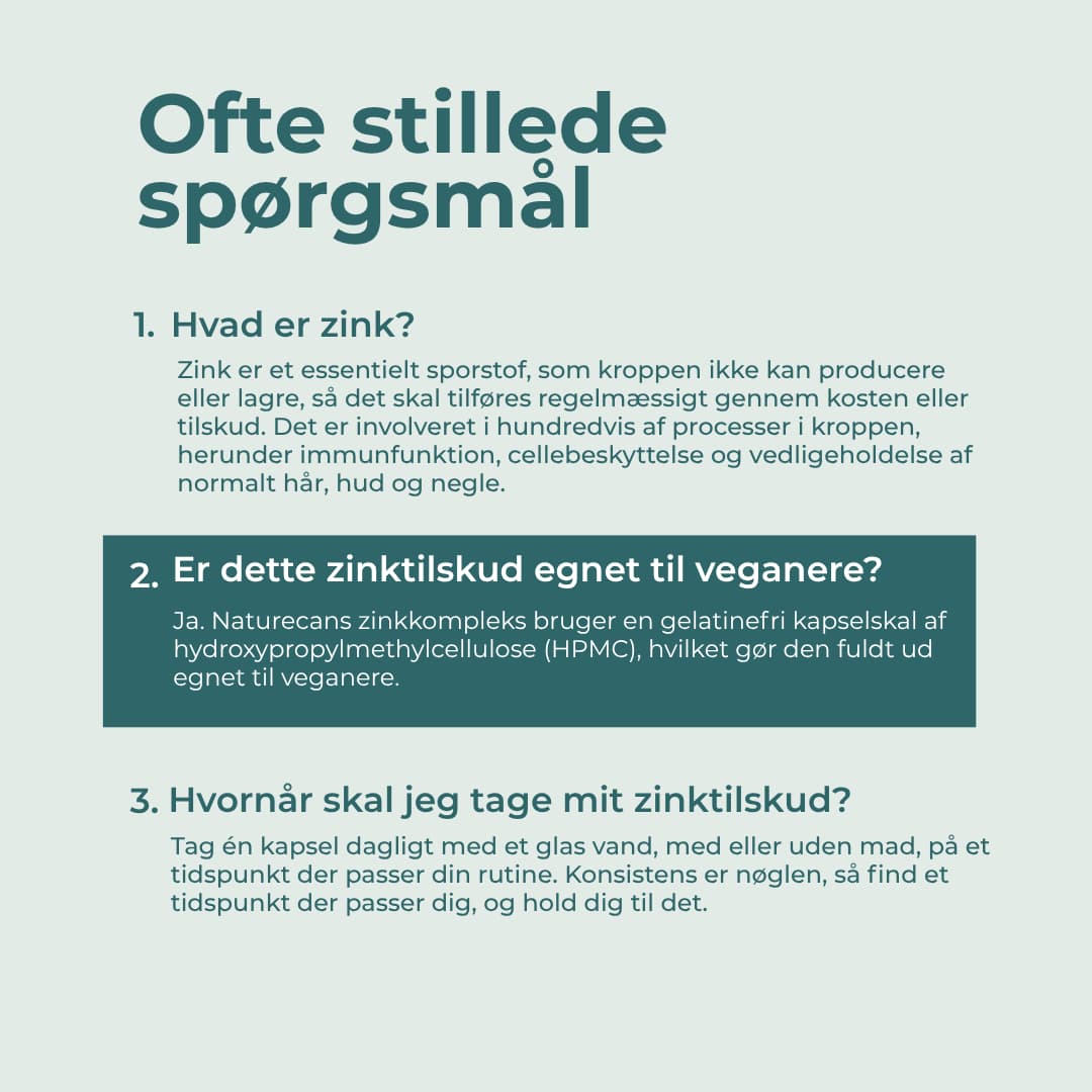 Miniaturebillede 8